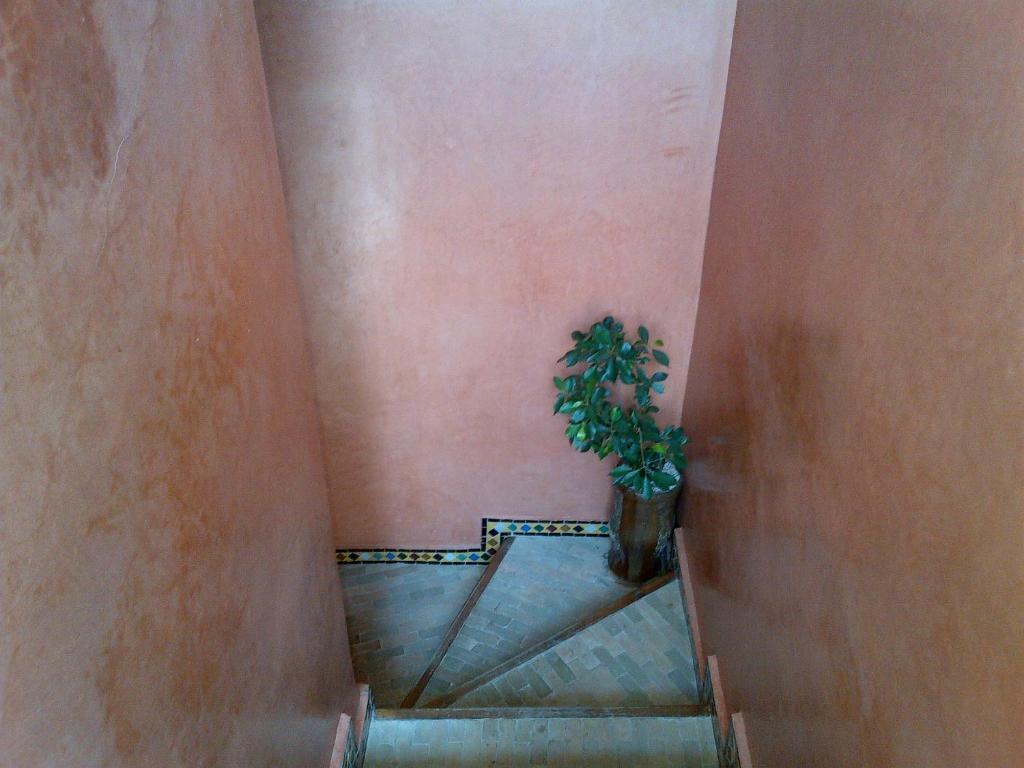 Riad Lila Марракеш Экстерьер фото